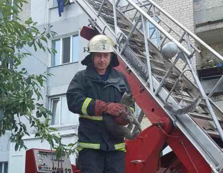 У Кропивницькому рятували кота, який ризикував упасти з 5-ого поверху. ФОТО