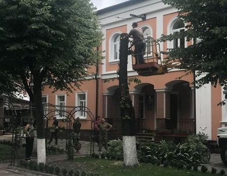 У Кропивницькому біля управління юстиції зносять дерево