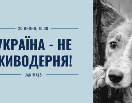 Кропивничан запрошують підтримати акцію “Україна – не живодерня”