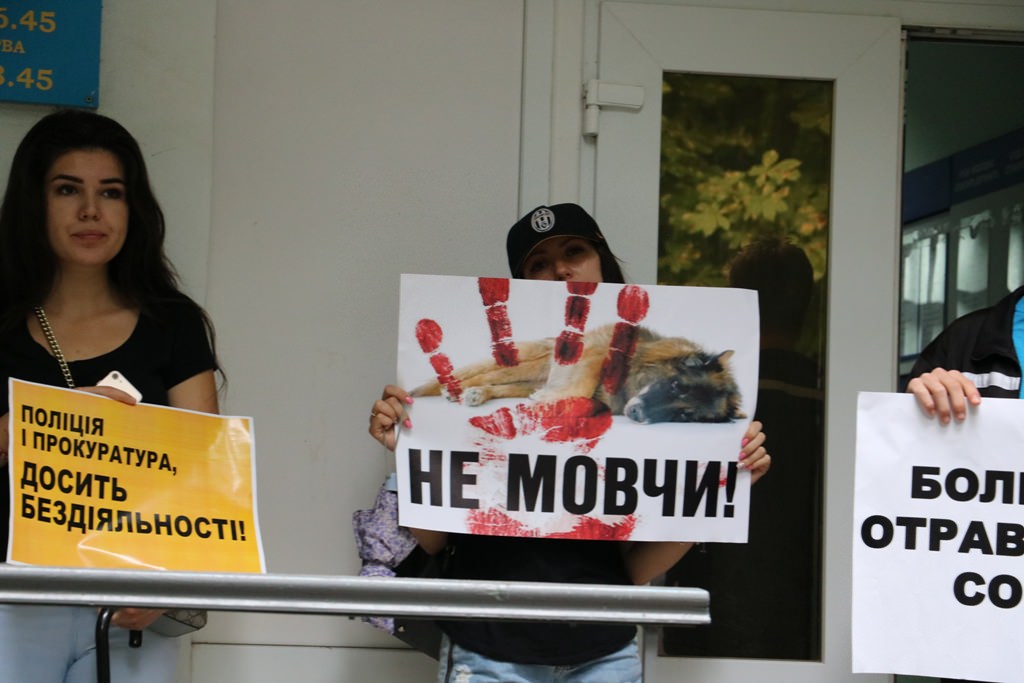 Журналістам заборонили зйомку на суді у справі про отруєння собак. ФОТО