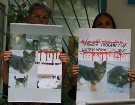 Підозрюваній в отруєнні собак у Кропивницькому призначено психіатричну експертизу 