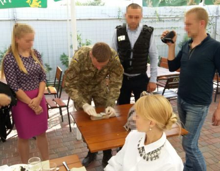 Справу чиновниць ДФС, підозрюваних у шахрайстві, слухатиме Кіровоградський райсуд