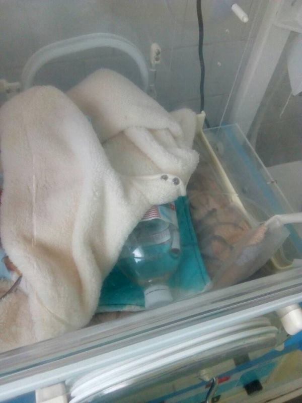 У Кіровоградській обласній дитячій лікарні померло немовля, яке транспортували з Олександрії