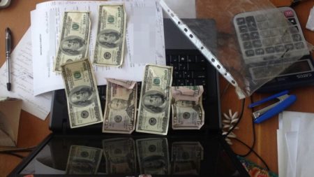 900 доларів за 2 гектари: які суми фігурують в “земельній корупції” на Кіровоградщині