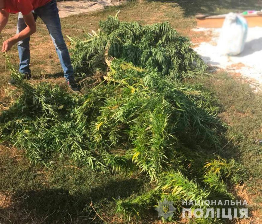 У жителя Кіровоградського району та виявили наркотиків та наркотичної сировини на 200 тисяч гривень. ФОТО