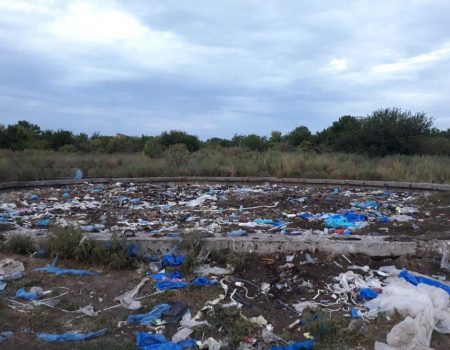 Спецінспекція Кропивницького виявила несанкціонований скотомогильник великої рогатої худоби. ФОТО. ВІДЕО