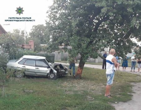Нетверезий водій ВАЗ «влетів» у дерево та вщент розбив своє авто. ФОТО