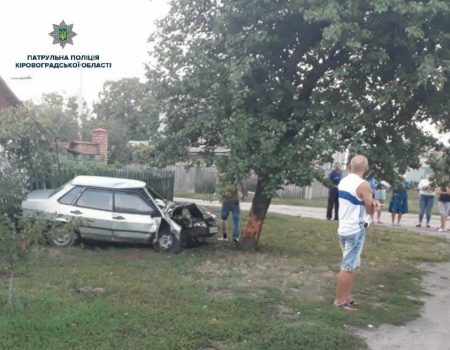 Нетверезий водій ВАЗ «влетів» у дерево та вщент розбив своє авто. ФОТО