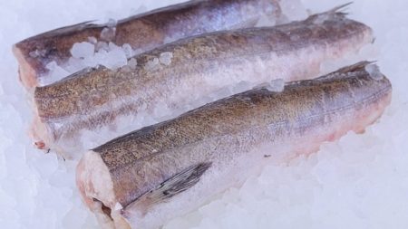 «Гімназія Короткова» зливає понад чверть мільйона на закупівлю риби улюбленцю кропивницьких освітян