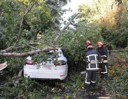 Знеструмлені лінії, повалені дерева та білборди – наслідки вчорашньої негоди на Кіровоградщині. ФОТО