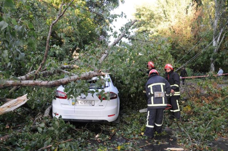 Знеструмлені лінії, повалені дерева та білборди &#8211; наслідки вчорашньої негоди на Кіровоградщині. ФОТО