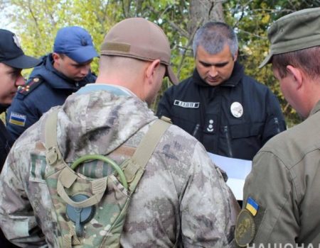 Правоохоронці обстежили ще 500 гектарів місцевості в пошуках Діани Хріненко. ФОТО