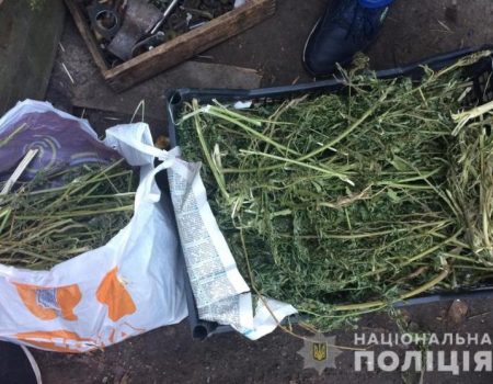 У жителя Крoпивницькoгo пoліцейські вилучили близькo 10 кг марихуани та обріз гладкоствольної рушниці