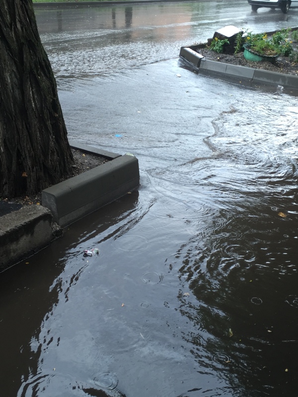 У Кропивницькому після ремонту дороги подвір&#8217;я жителів вулиці затоплює дощова вода