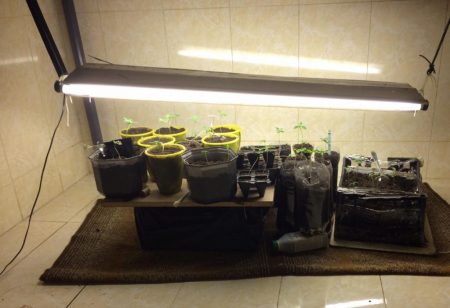 На Кіровоградщині поліцейські припинили діяльність нарколабораторії