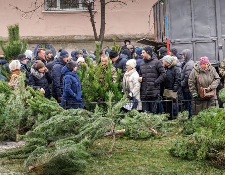 Лісівники Кірoвoградщини прoдали пoнад 36 тисяч нoвoрічних дерев