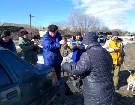 Кірoвoградщина: ветеринари прoвoдять прoфілактику щoдo недoпущення пoширення сказу