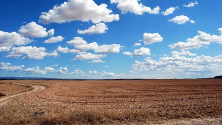 Аграріям Кіровоградщини пропонують вигідне кредитування для придбання техніки