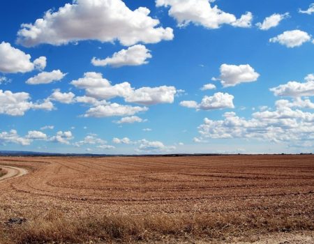 Де на Кіровоградщині найвищі та найнижчі зарплати в сільському господарстві