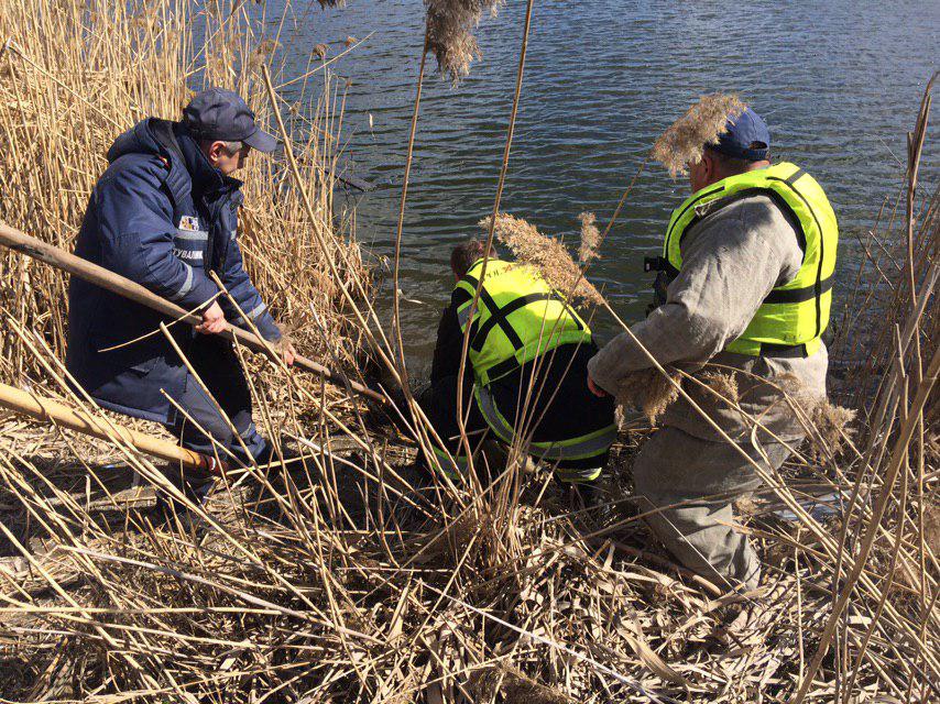 На Кіровоградщині з водойми дійстали потопельника