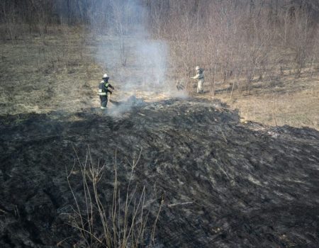 На Кіровоградщині займання сухої трави спричинило значну  пожежу. ФОТО