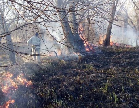 На Кіровоградщині горіла суха трава  на площі 3 га. ФОТО