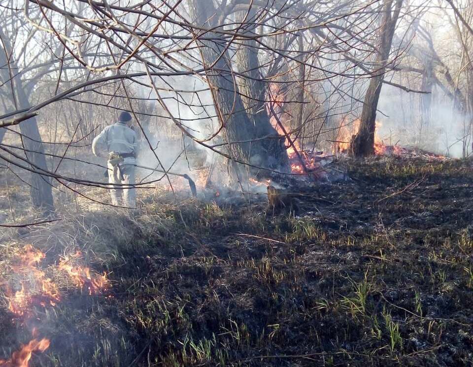 На Кіровоградщині горіла суха трава  на площі 3 га. ФОТО