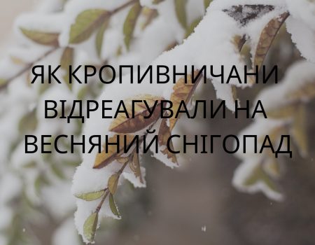 Як кропивничани відреагували на весняний снігопад. ФОТО. ВІДЕО