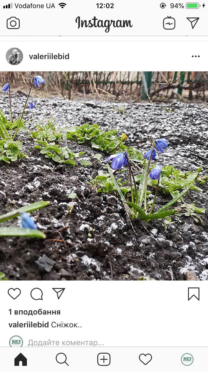 Як кропивничани відреагували на весняний снігопад. ФОТО. ВІДЕО