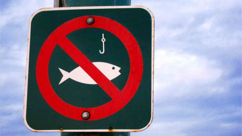 З 1 квітня на Кіровоградщині вводять тимчасові обмеження на вилов риби