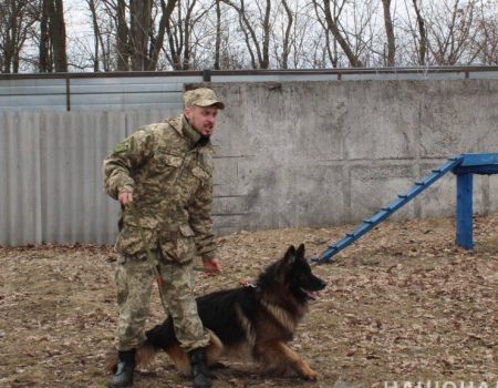 25 років кінологічної служби: про досягнення кропивницького кінологічного центру