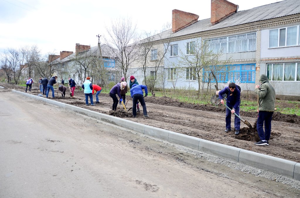 У Гайвороні на алеї Свободи висадили клени. ФОТО