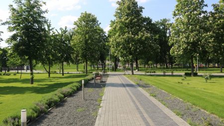 Без МАФів на клумбах і дерев-обрубків: у Новомиргороді зробили європейський парк. ФОТО