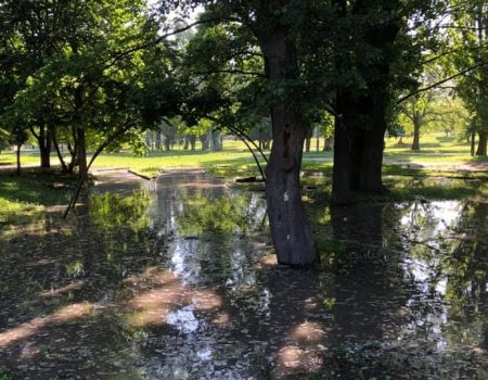 На Ковалівці обмежили водопостачання, ліквідовують порив у парку