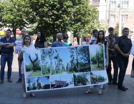 У Кропивницькому містяни вимагають прийняти мораторій на обрізку дерев. ФОТО
