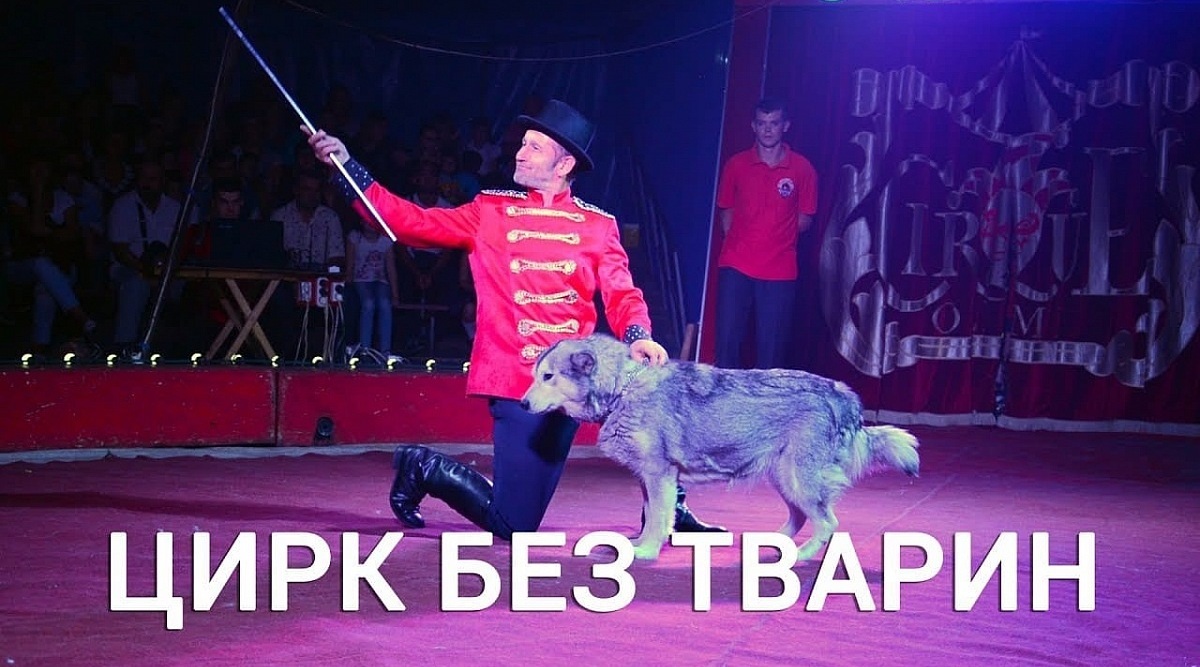 Міська влада Кропивницького заборонила цирку продаж квитків через використання в програмі тварин