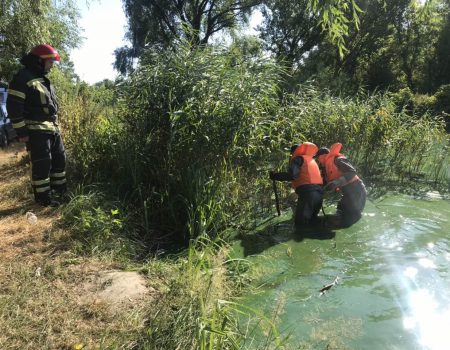 На Кіровоградщині чоловік потонув у ставку