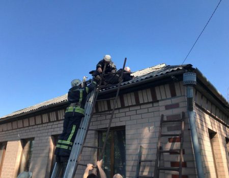 Кіровоградщина: рятувальники зняли з даху будинку місцевого мешканця. ФОТО