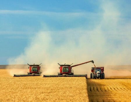 На Кіровоградщині УЗЕшники заблокували збір зерна на полі – директор ДП “Червоний землероб”