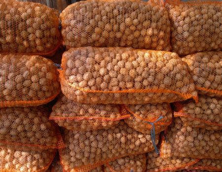 На Кіровоградщині викрили схему мінімізації митних платежів експортером волоських горіхів