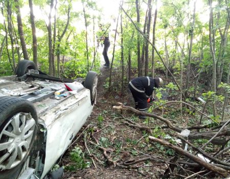 У Маловисківському районі легковик злетів із траси в лісосмугу й перевернувся. ФОТО