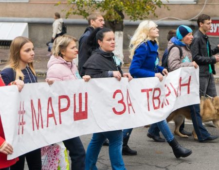 У неділю в Кропивницькому зоозахисники вийдуть на марш