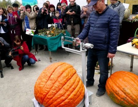 На AGROEXPO обрали новий гарбуз-рекордсмен. ФОТО