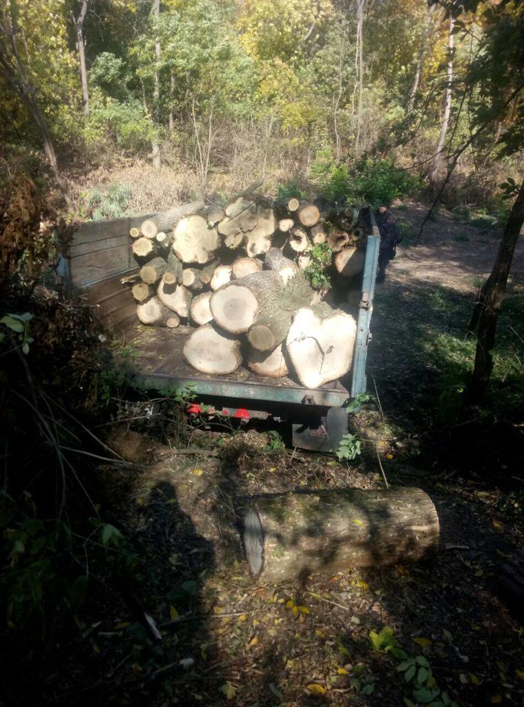 Десятьох &#8220;чорних лісорубів&#8221; затримала СБУ на Кіровоградщині. ФОТО