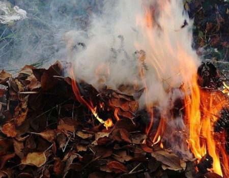 У трьох найбільших містах Кіровоградщини значно погіршився стан повітря через спалювання листя