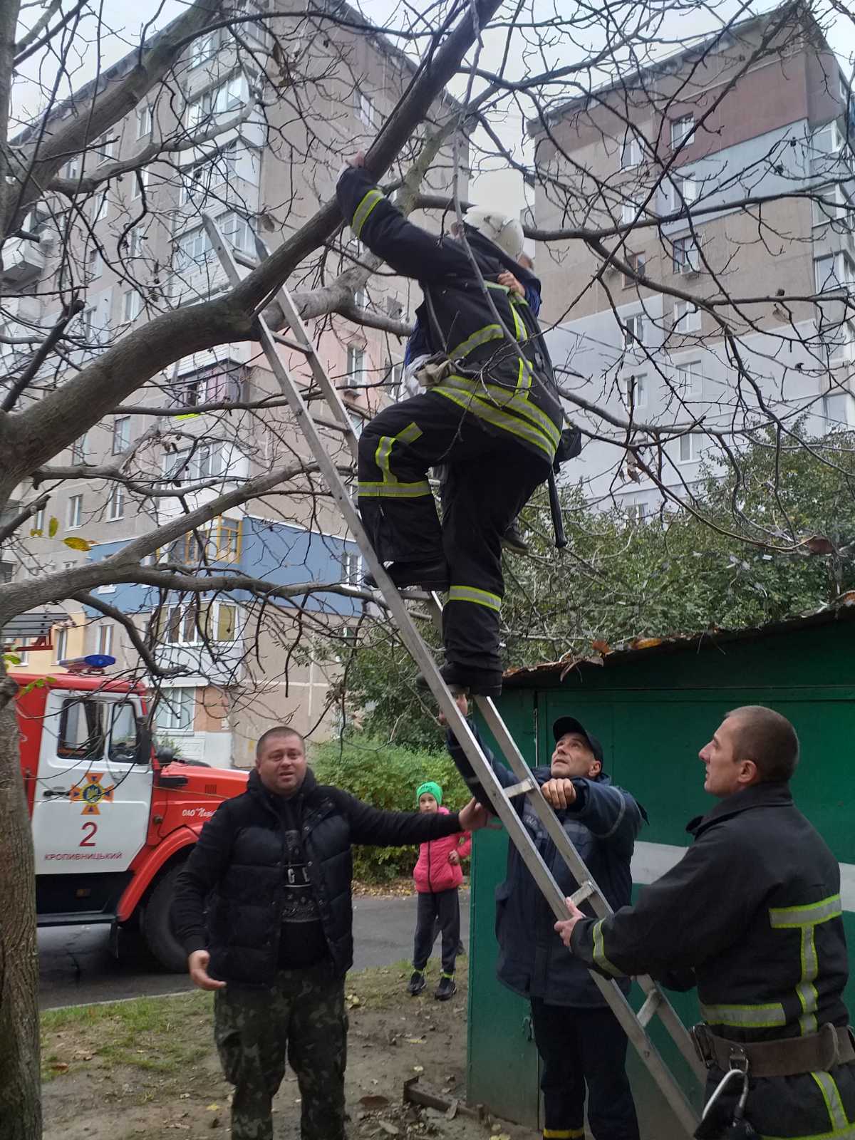 У Кропивницькому рятувальникам довелося знімати з дерева 10-річного хлопчика