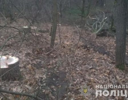 На Кіровоградщині затримали чоловіків, які незаконно вирубували дерева