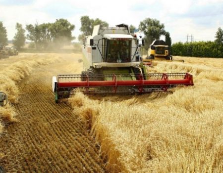 Хлібороби Кіровоградщини намолотили рекордну кількість зернових культур