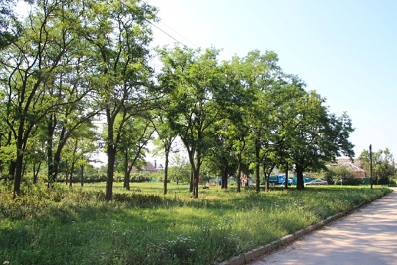 Власники ділянок у районі парку Аксьонкіної судяться за будівництво в рекреаційній зоні