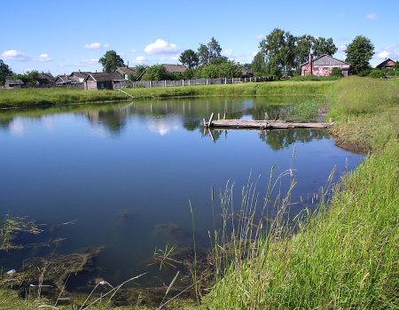 Прокуратура області повернула державі 8 гектарів водного фонду